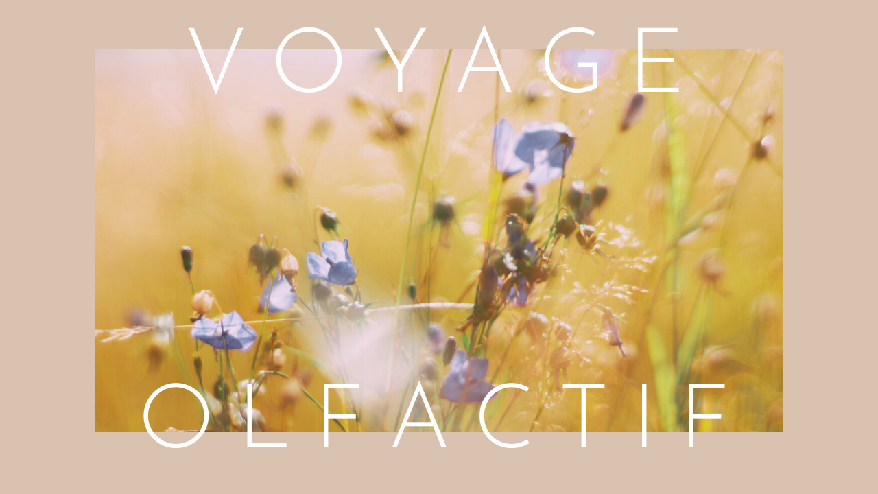 Voyage olfactif